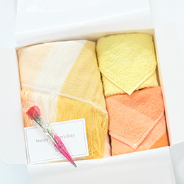 母の日ギフト　おでかけセット（イエロー）